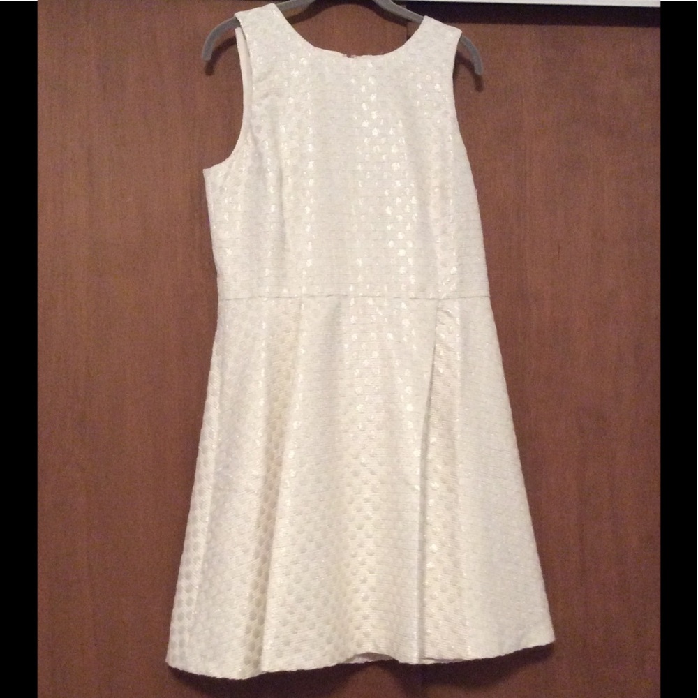 ANN TAYLOR Stunning Party Dress